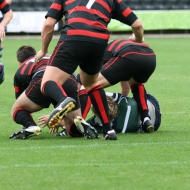 Rugby 